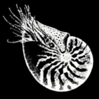 Apothecary Films Logo