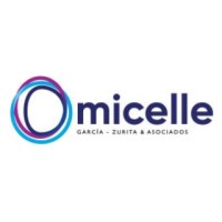 Micelle DFK Logo