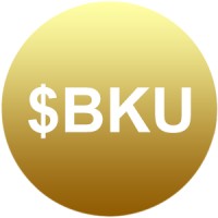 Banknet Logo