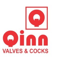 Qinn Valves Logo