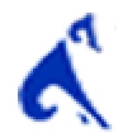 SkyInfotech Logo