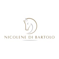 Nicolene Di Bartolo Executive Search & Management Appointments Logo