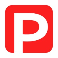 The Professional Times Logo