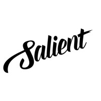 Salient Creative Pte Ltd Logo