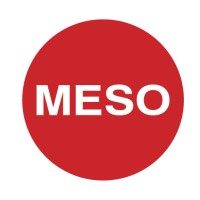 MESO PRIVATE LIMITED Logo