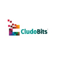 CludoBits IT Solutions Pvt Ltd Logo