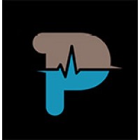 Pixel Pulse Media Logo