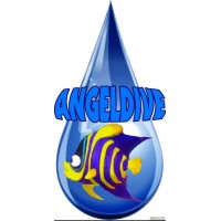 Angel Dive Logo
