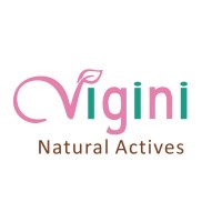 Vigini India Logo