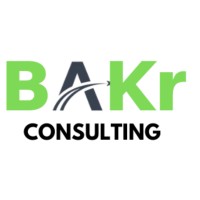 BaKr Consulting Logo