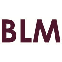 Boutique Law Mentor Logo