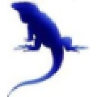 Blue Iguane design Logo