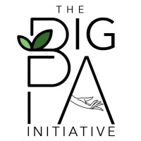 The BigPA Initiative Logo