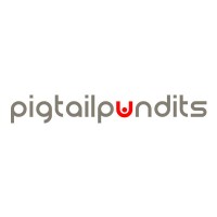 Pigtail Pundits helps businesses get wow results online. Logo