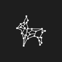 AntiCAD Logo