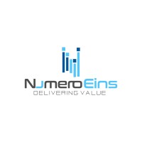 NumeroEins Software Private Limited Logo