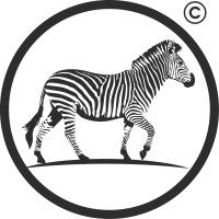 positive.zebra Logo
