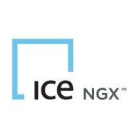 ICE NGX Logo