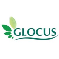 Glocus India Logo