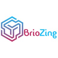 BrioZing Technologies Pvt. Ltd. Logo