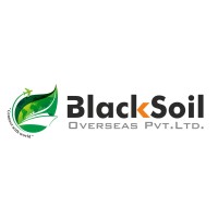 Blacksoil Overseas Pvt. Ltd. Logo