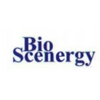 Bioscenergy International Group Logo