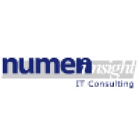 Numen Insight S.A. Logo
