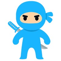 WordPress Ninja Logo
