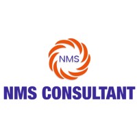 NMS Consultant Logo