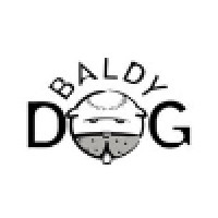 Baldy Dog Search Marketing Logo
