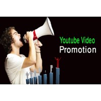 Digetal marketing /do-organically-youtube-promotion-video-ranking-to-boost-views Logo