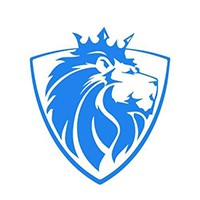 👑 CS Design Studios Logo