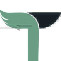 Tullius Logo