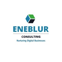 Eneblur Consulting Logo