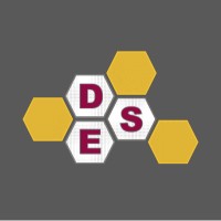 Dependable System Engineering Logo