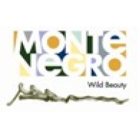 National Tourism Organisation of Montenegro Logo