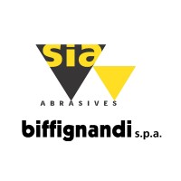 Biffignandi s.p.a. Logo