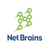 Net Brains Services Logo