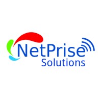NetPrise Solutions Logo