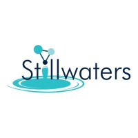 Stillwaters AI - Training and Consulting Logo