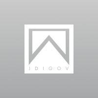 IDIGOV Consulting Logo