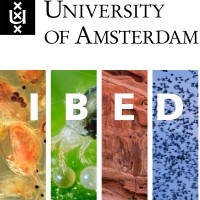 Institute for Biodiversity and Ecosystem Dynamics - University of Amsterdam Logo