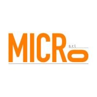 Micro srl Logo