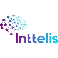 Inttelis Digital Strategy Consulting Logo