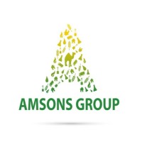 Amsonsgroup Logo