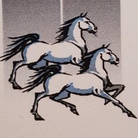 Easy Mobility Srl Logo