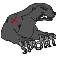 X Sport Logo