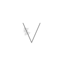 Vanity Logo
