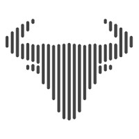 IT Bulls Logo
