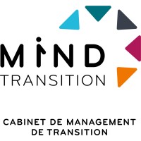 Mind Transition Logo